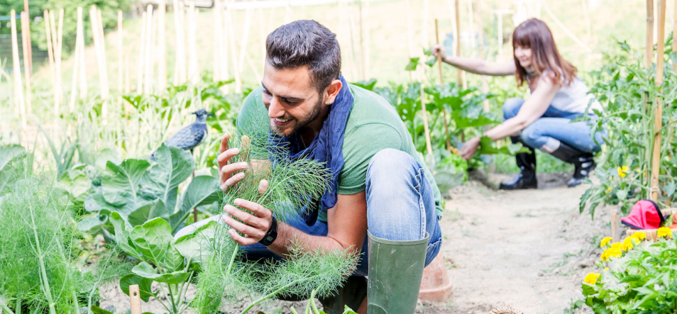 ​Here Comes the Sun: Mental Health Benefits of Spring