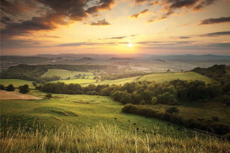 4 Wellness Retreats in Somerset