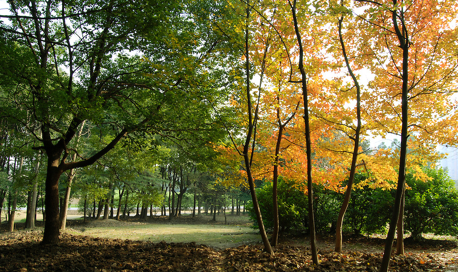 Why People Start Therapy in Autumn