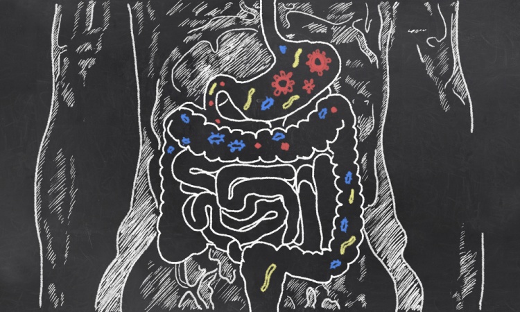 This is Why Taking Care of Your Gut Could Improve Your Mental Health