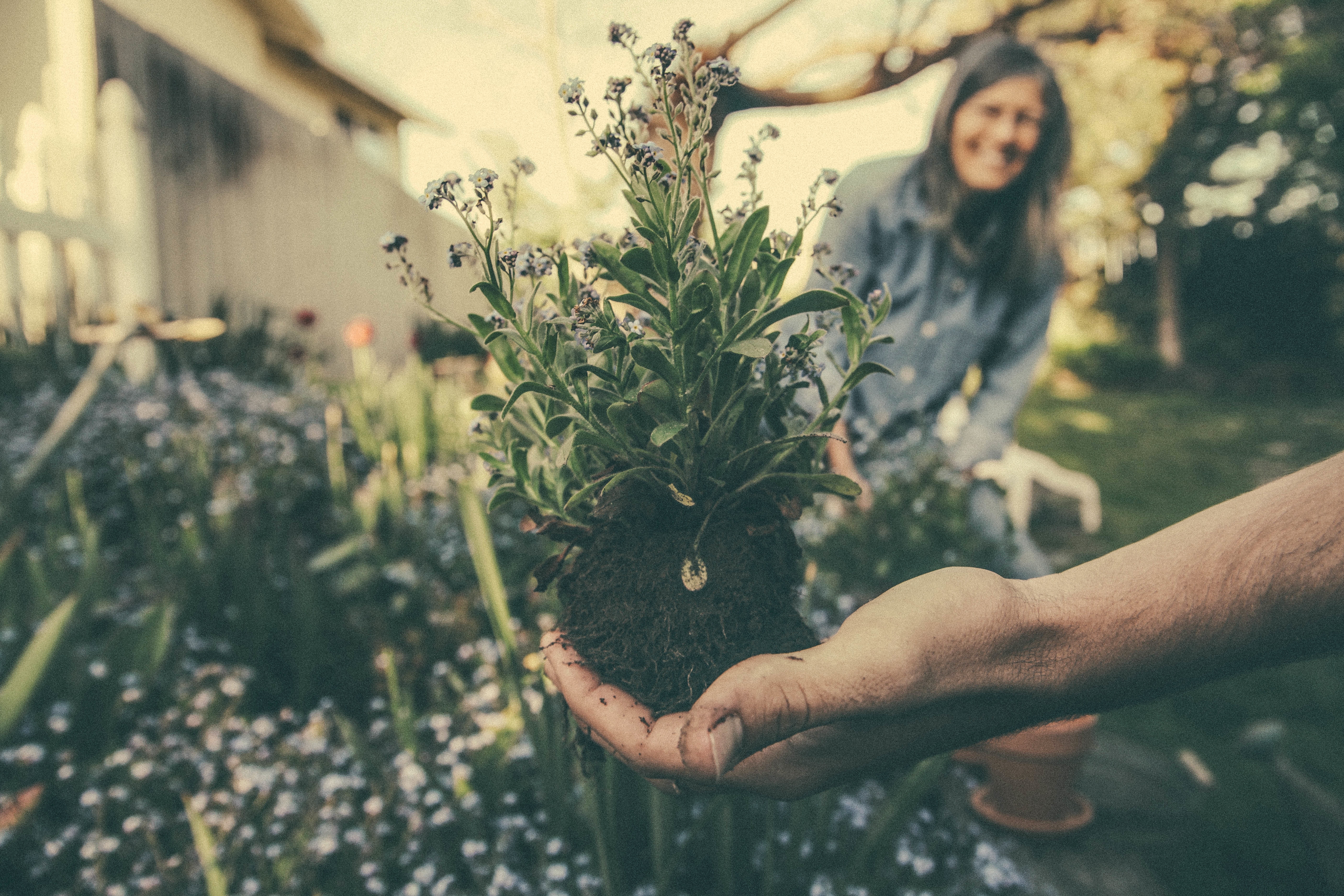 Why We Should All Care for Our Local Environment