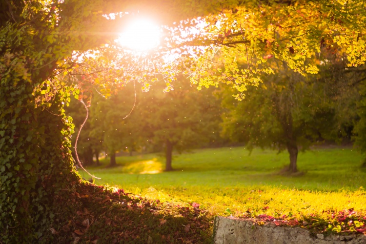 In Praise of City Parks