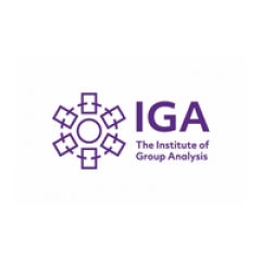 The Institute of Group Analysis