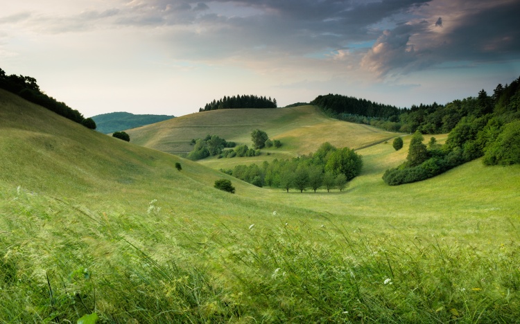 Therapeutic Landscapes: How Natural Environments Boost Wellbeing