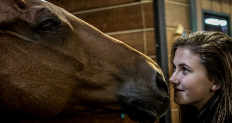 What is Equine Facilitated Psychotherapy (EFP)?