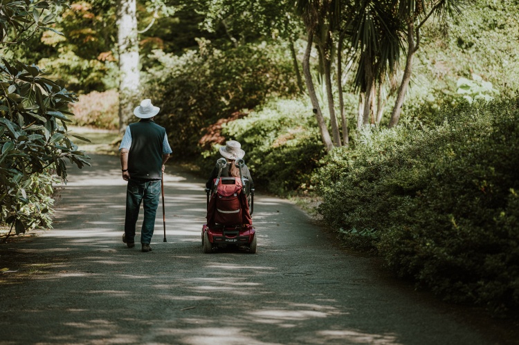 Disability History Month 2021: Understanding Disability in the UK