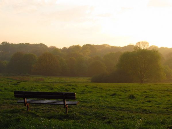 How Green Spaces Reduce Stress