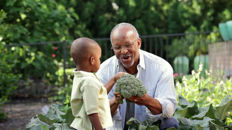 How Gardening Can Protect Your Mental Health